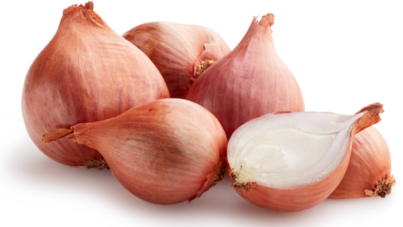 Bunch of shallots 27928331 PNG